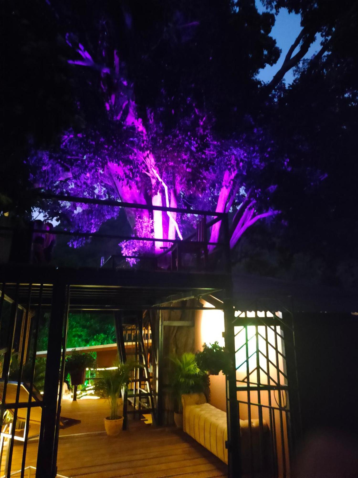 Phuket Jungle Experience Resort Karon المظهر الخارجي الصورة