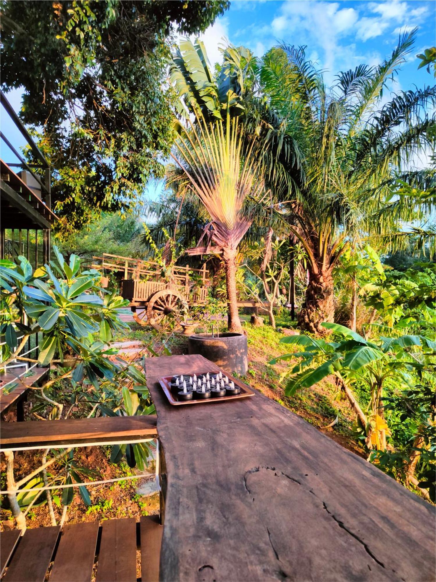 Phuket Jungle Experience Resort Karon المظهر الخارجي الصورة